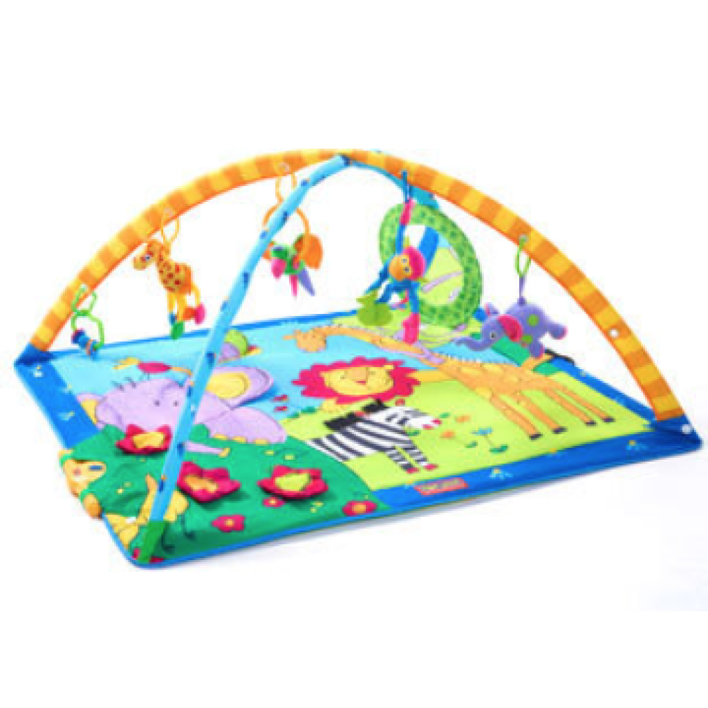 TINY LOVE Gymini Play Mat